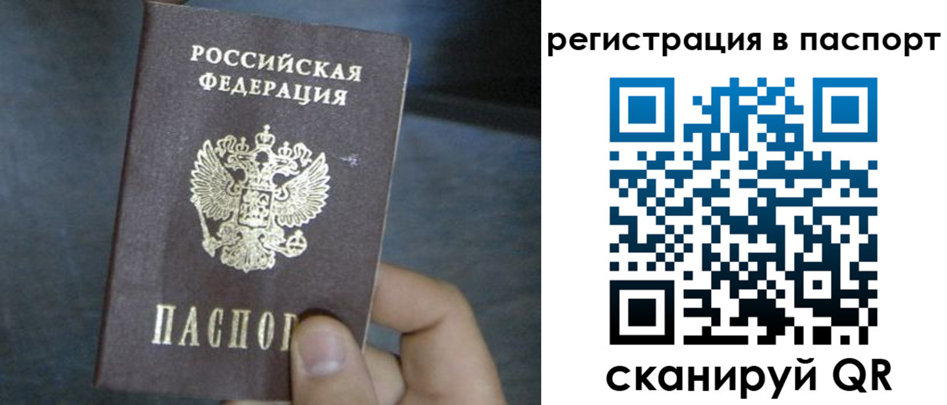 прописка 2025 в Кондрово